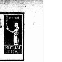 Image Tile