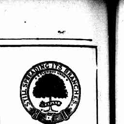 Image Tile