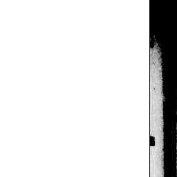 Image Tile