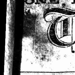 Image Tile