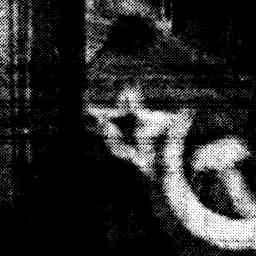 Image Tile