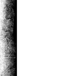 Image Tile
