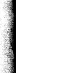 Image Tile