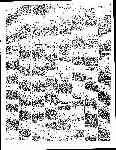 Page overview thumbnail