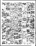 Page overview thumbnail