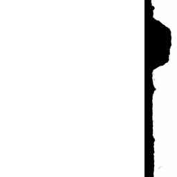 Image Tile