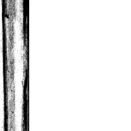 Image Tile