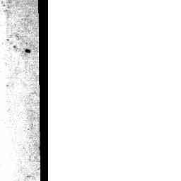 Image Tile