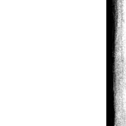 Image Tile