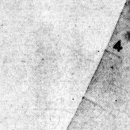 Image Tile