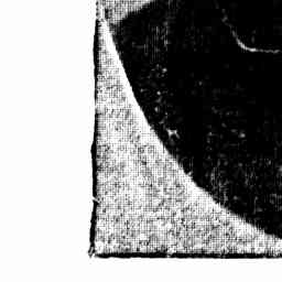 Image Tile