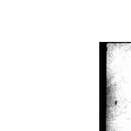 Image Tile