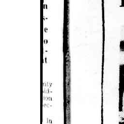 Image Tile
