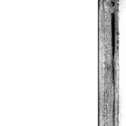 Image Tile