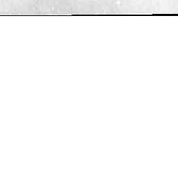 Image Tile