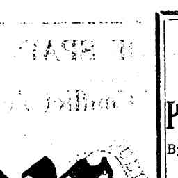 Image Tile