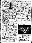 Page overview thumbnail