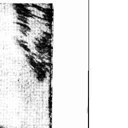 Image Tile