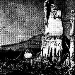 Image Tile
