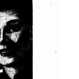 Image Tile