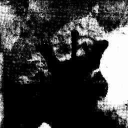 Image Tile