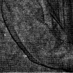 Image Tile