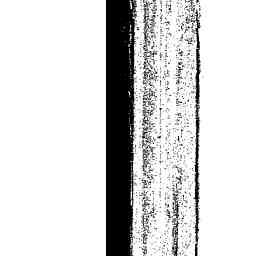 Image Tile