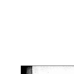 19 Jan 1950 - Advertising - Trove 19 Jan 1950 - Advertising - Trove