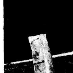 Image Tile