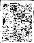 Page overview thumbnail