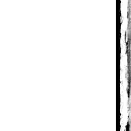 Image Tile