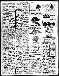 Page overview thumbnail