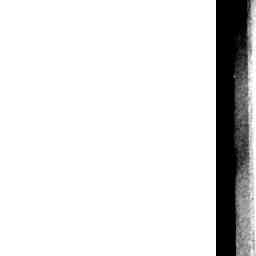 Image Tile