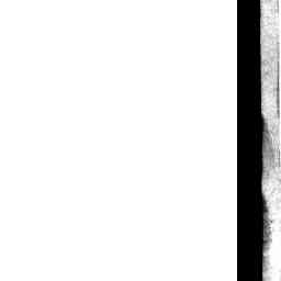 Image Tile