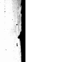 Image Tile