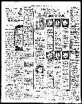 Page overview thumbnail