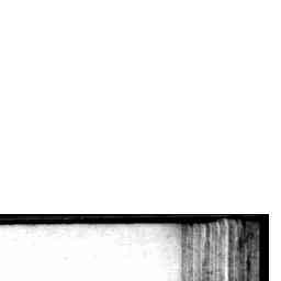 Image Tile