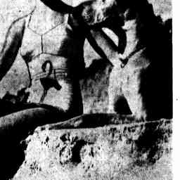Image Tile