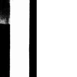 Image Tile