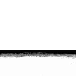 Image Tile