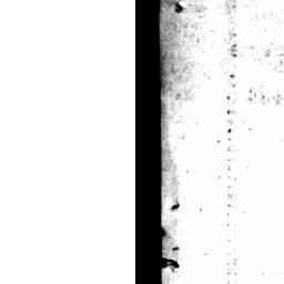 Image Tile