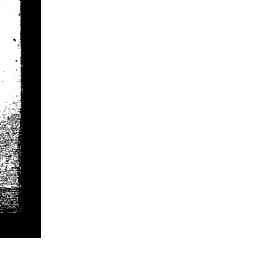 Image Tile