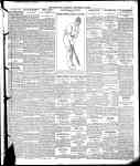 Page overview thumbnail