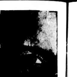 Image Tile