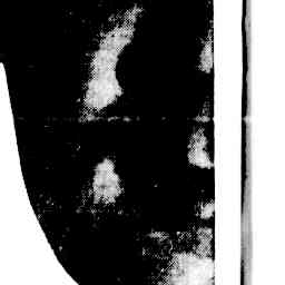 Image Tile