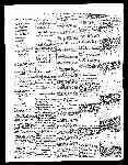 Page overview thumbnail