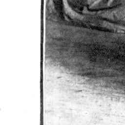 Image Tile