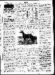 Page overview thumbnail