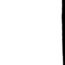 Image Tile