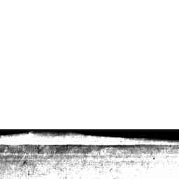 Image Tile